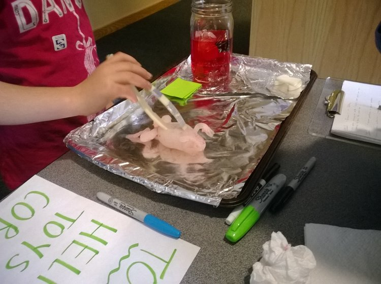 Flopper the Frog, novel use of foamed silicones for a children's toy